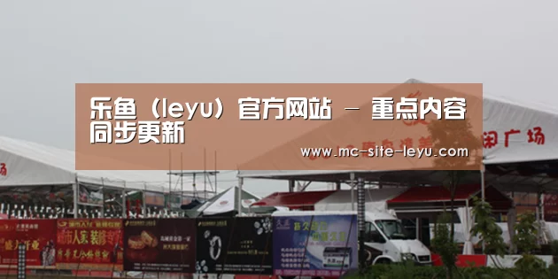 案例标题十