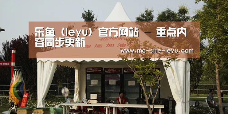 案例标题五