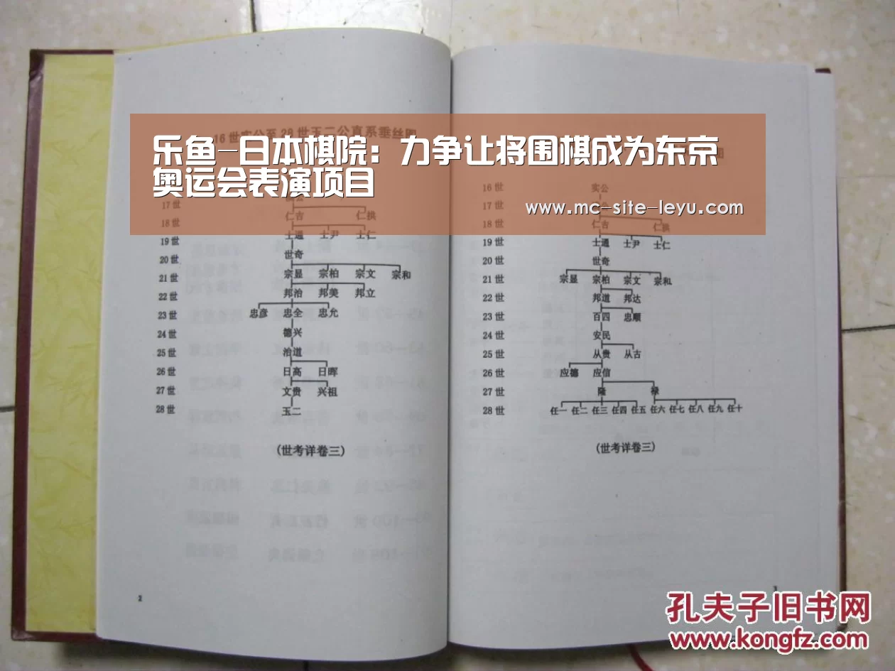 乐鱼-日本棋院：力争让将围棋成为东京奥运会表演项目