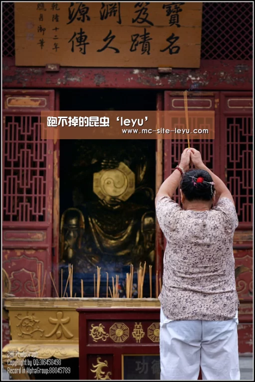 跑不掉的昆虫‘leyu’(图2) 乐鱼