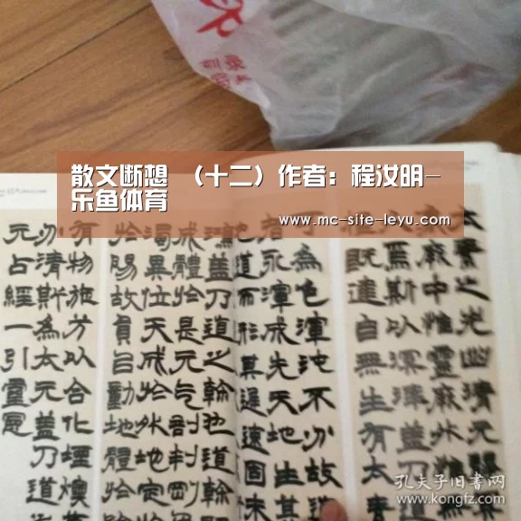 散文断想 (十二)作者:程汝明-乐鱼体育