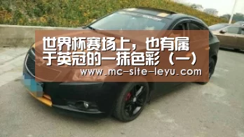 世界杯赛场上,也有属于英冠的一抹色彩 (一)_leyu(图3) 乐鱼体育