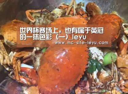 世界杯赛场上,也有属于英冠的一抹色彩 (一)_leyu(图2) 世界杯赛场上,也有属于英冠的一抹色彩 (一)_leyu(图2)