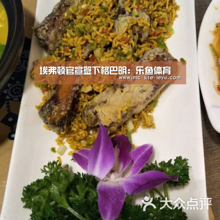 埃弗顿官宣签下格巴明：乐鱼体育(图2)
