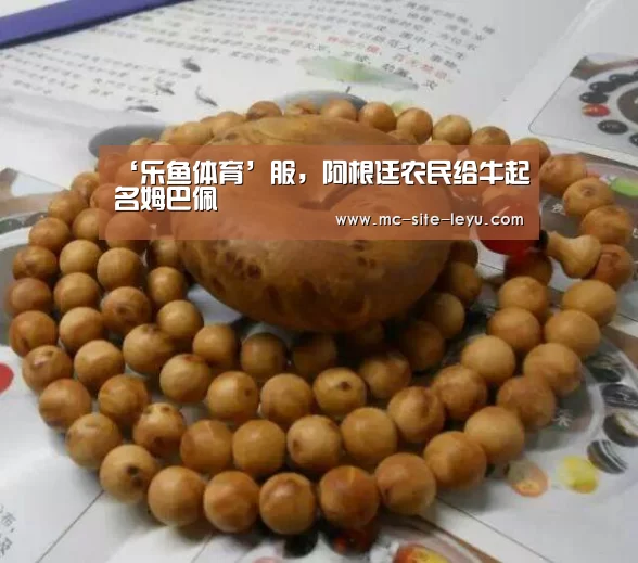 乐鱼