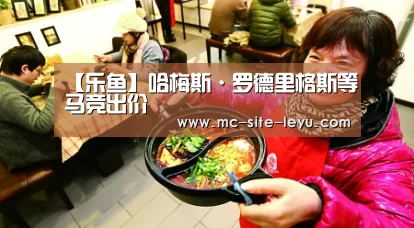 【乐鱼】哈梅斯·罗德里格斯等马竞出价