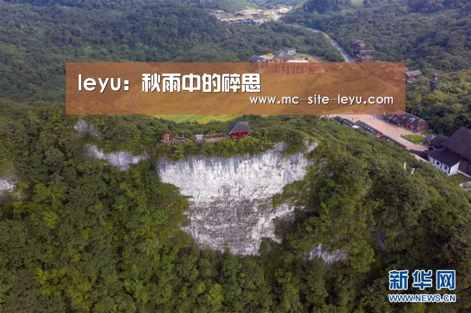 leyu:秋雨中的碎思