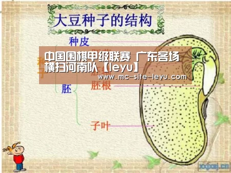 中国围棋甲级联赛 广东客场横扫河南队【leyu】