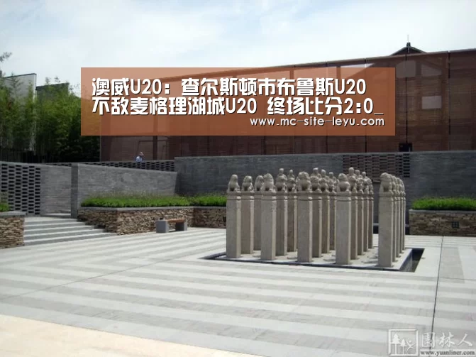 澳威U20: 查尔斯顿市布鲁斯U20不敌麦格理湖城U20 终场比分2:0_leyu(图3)
